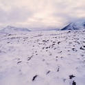 anaktuvuk pass