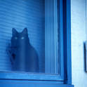 anchorage window