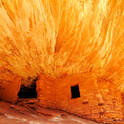 house on fire