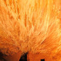 house on fire