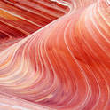 coyote buttes
