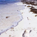 cayo largo