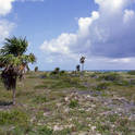 cayo largo