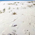 cayo largo