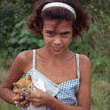 vinales