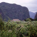 vinales