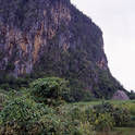 vinales