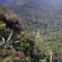 soroa
