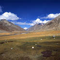 suru valley