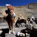 zanskar