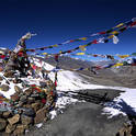 sengi la