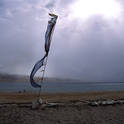 tso moriri