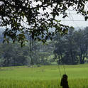 besi sahar