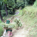 annapurna