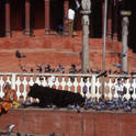 kathmandu