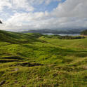 coromandel