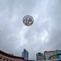 wellington