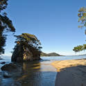 watering cove