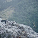 kaikoura