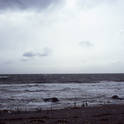 seno otway