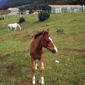 tierra del fuego