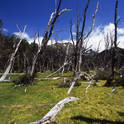tierra del fuego
