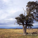 tierra del fuego