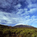 kilimanjaro