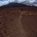kilimanjaro