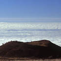 kilimanjaro