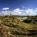 manyara lake