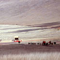 serengeti