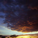 serengeti