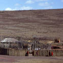 serengeti