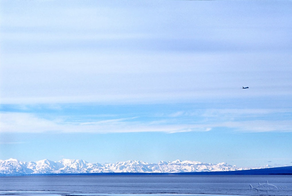 anchorage cook inlet