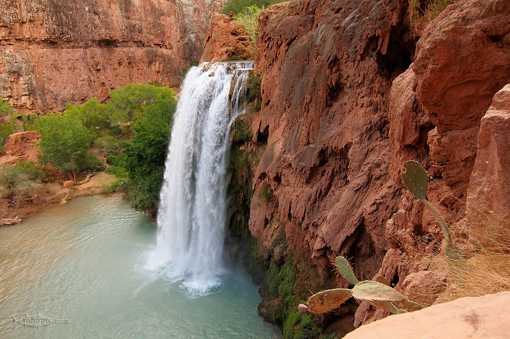 havasupai