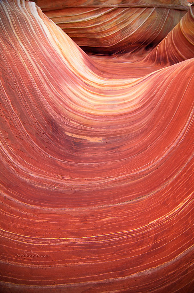 coyote buttes