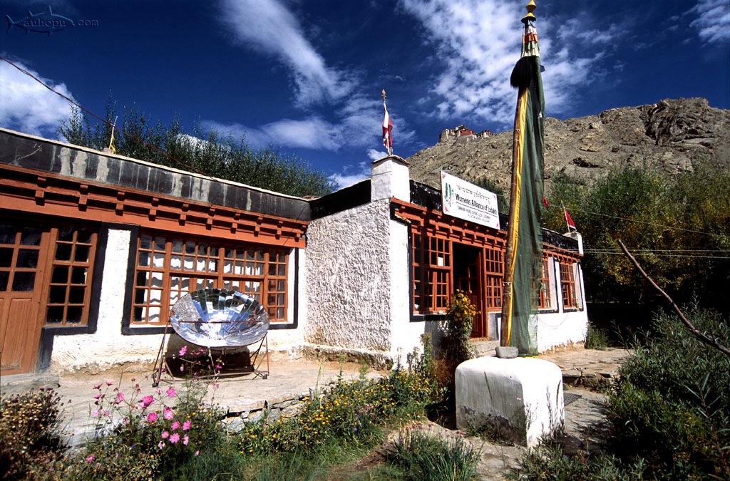 women's alliance of ladakh