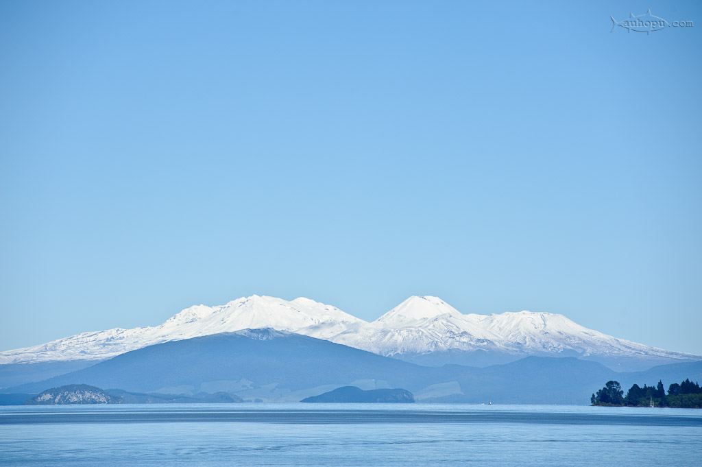 taupo