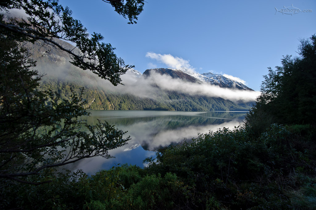 fiordland