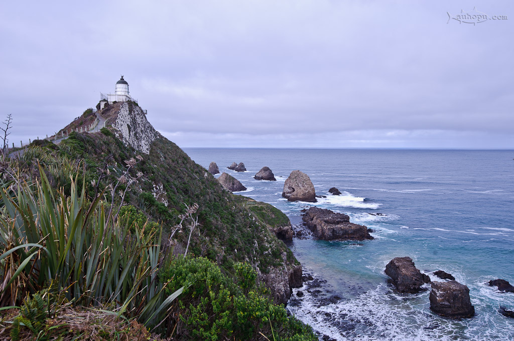 nugget point