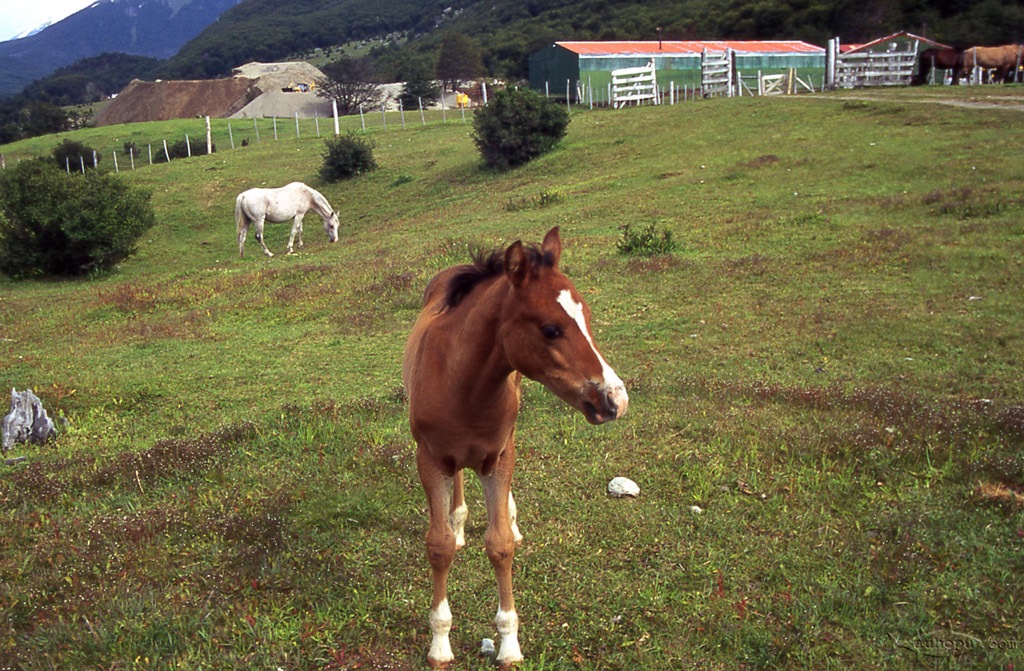 tierra del fuego