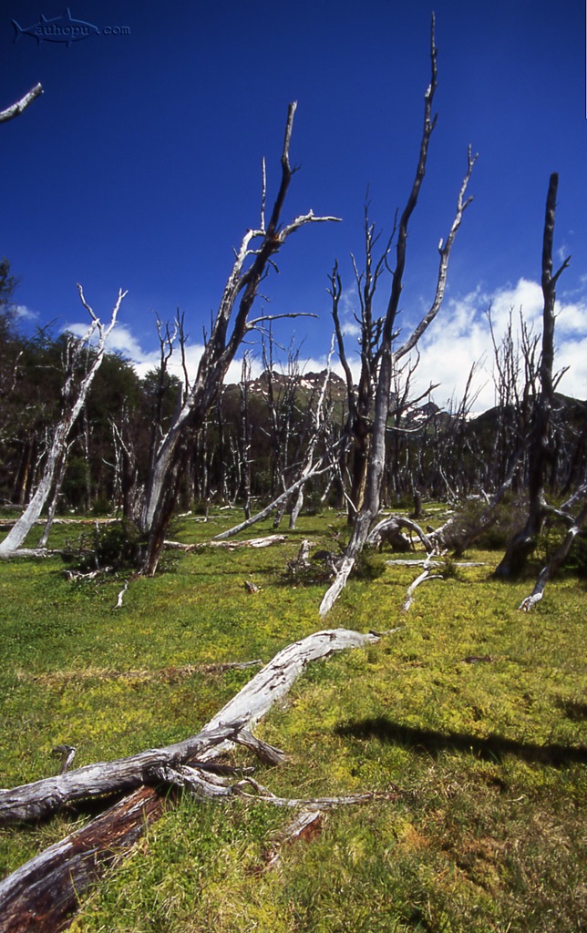 tierra del fuego