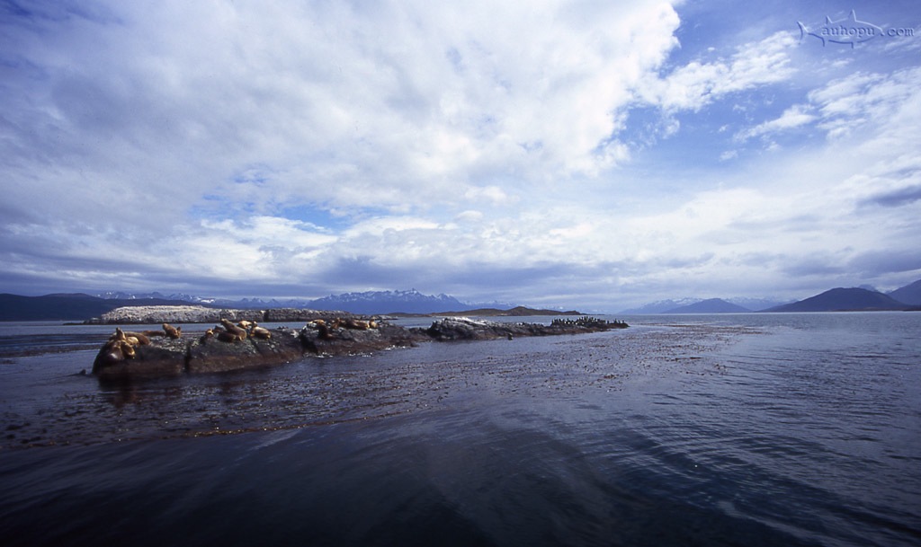 beagle channel