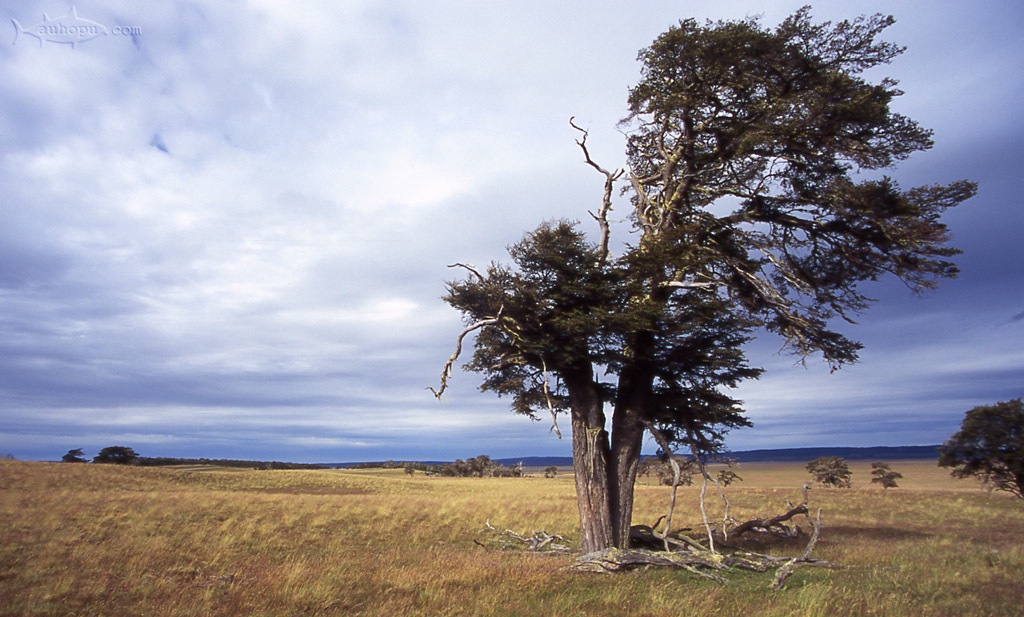 tierra del fuego