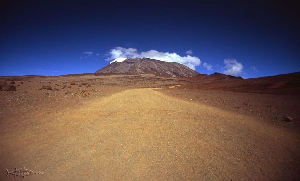 kilimanjaro