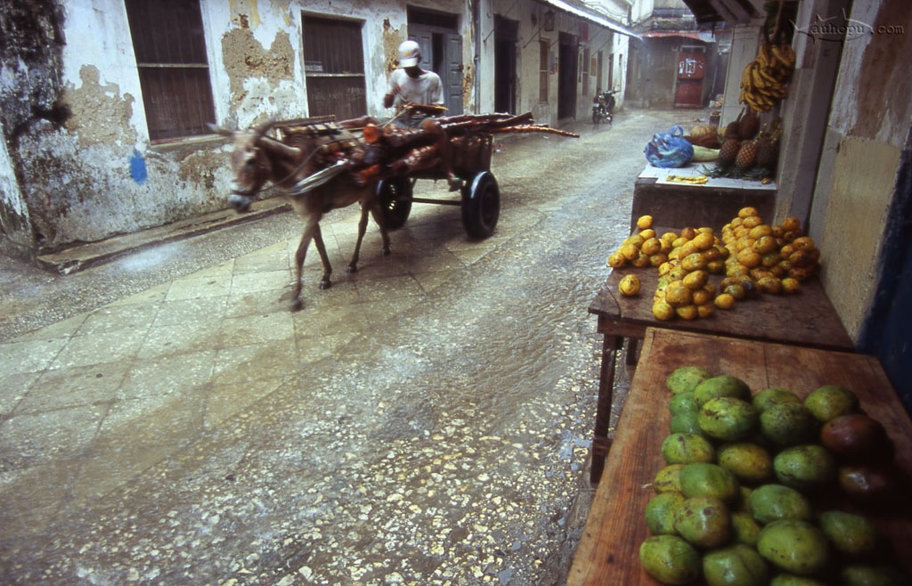 zanzibar